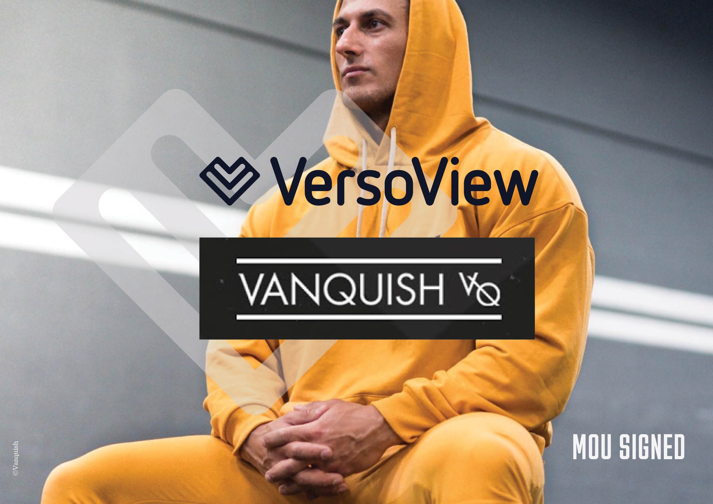 VersoView_Vanquish